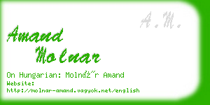 amand molnar business card